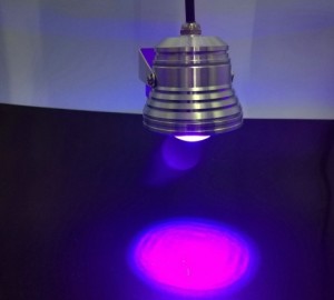 Led black light 10W spot