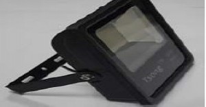 Floodlight 100W