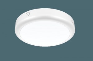 Plafond noodverlichting  Ø300mm 15W IP65