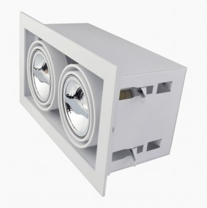 Recessed/Trimless fixture 2x AR70 | Full White | Adjustable