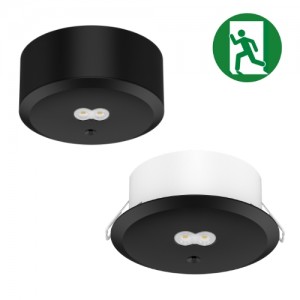 Noodverlichting downlight (zowel opbouw als inbouw) zwart